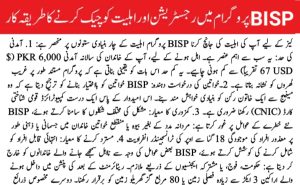 Checking Your Eligibility for the BISP