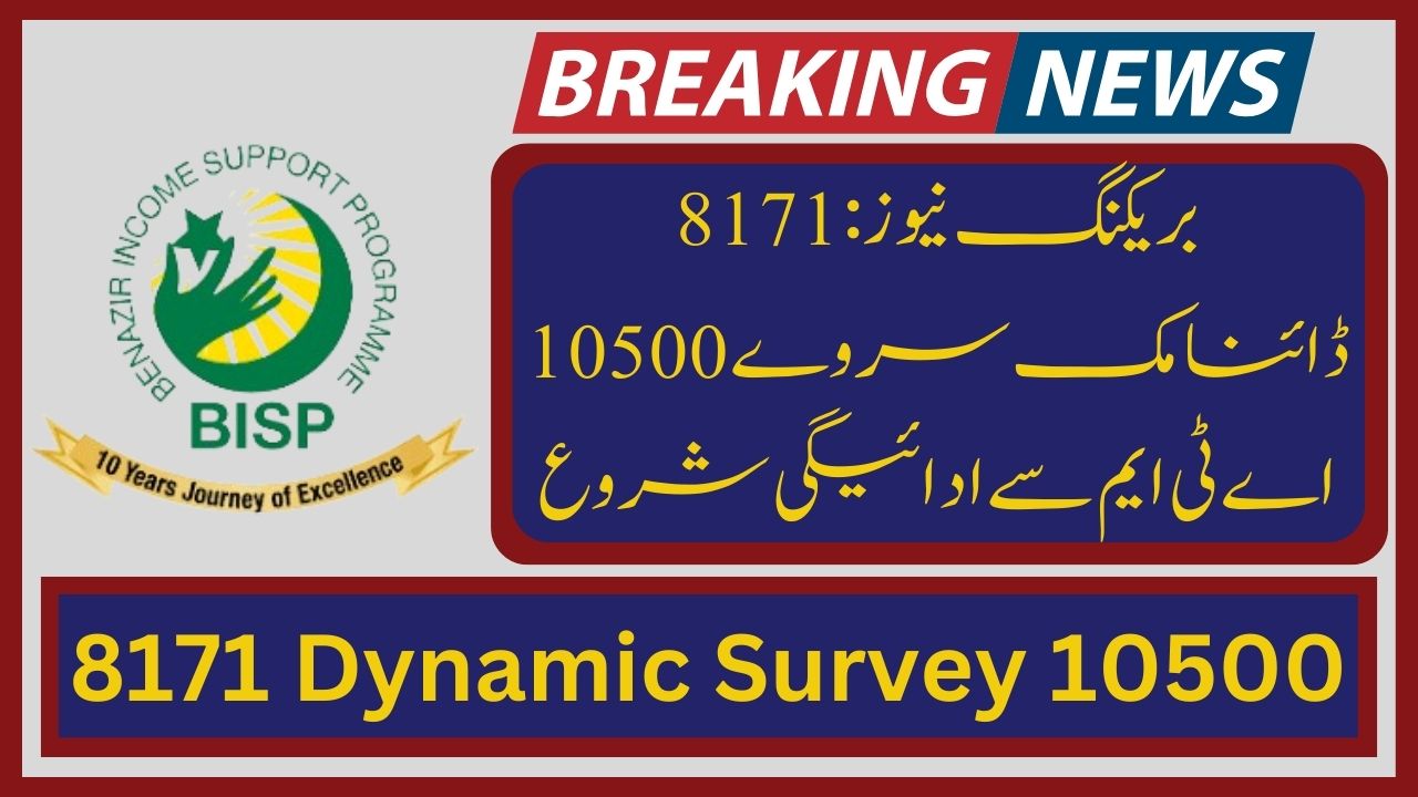 8171 Dynamic Survey