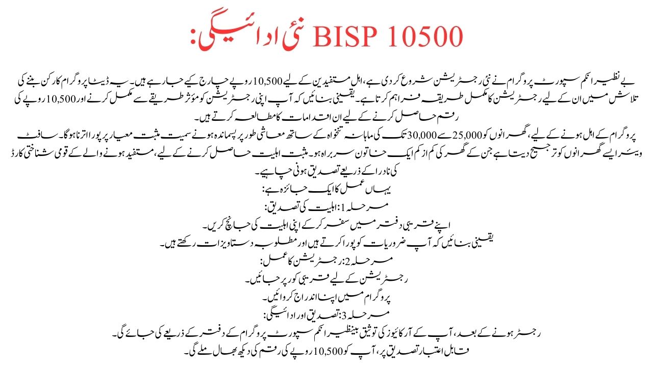 BISP 10500 New Payment