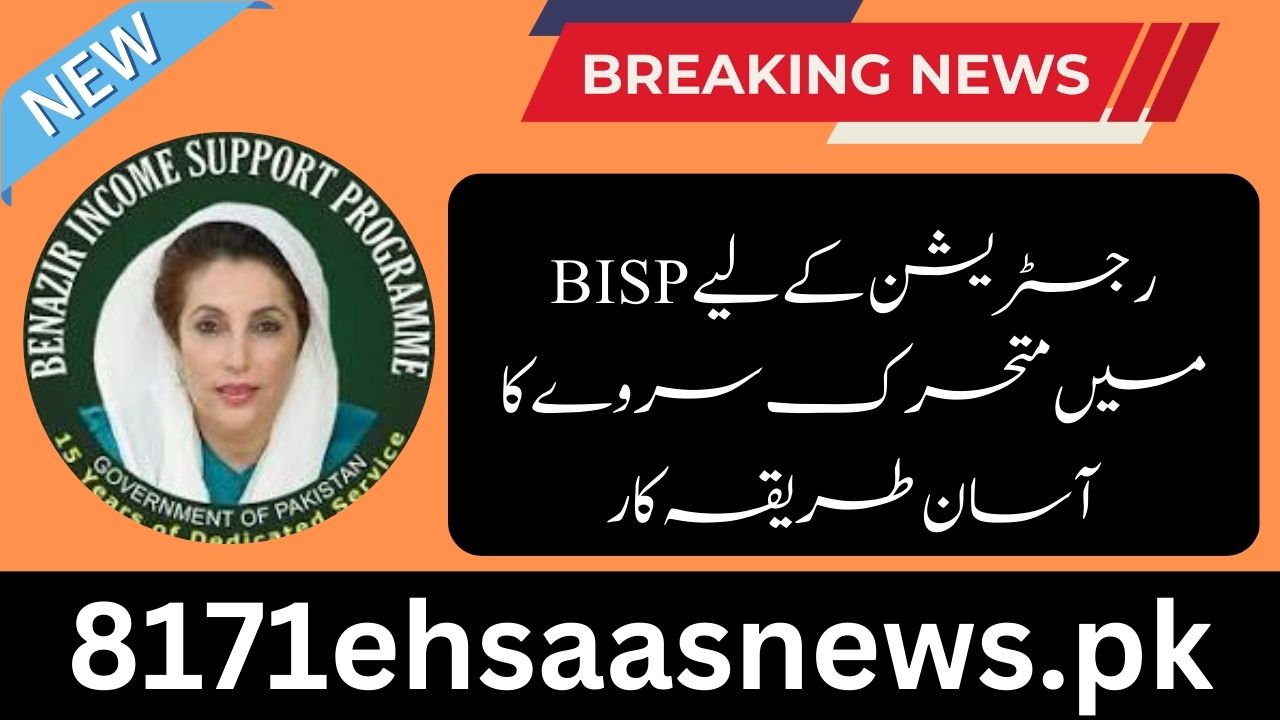  Dynamic Survey In BISP 