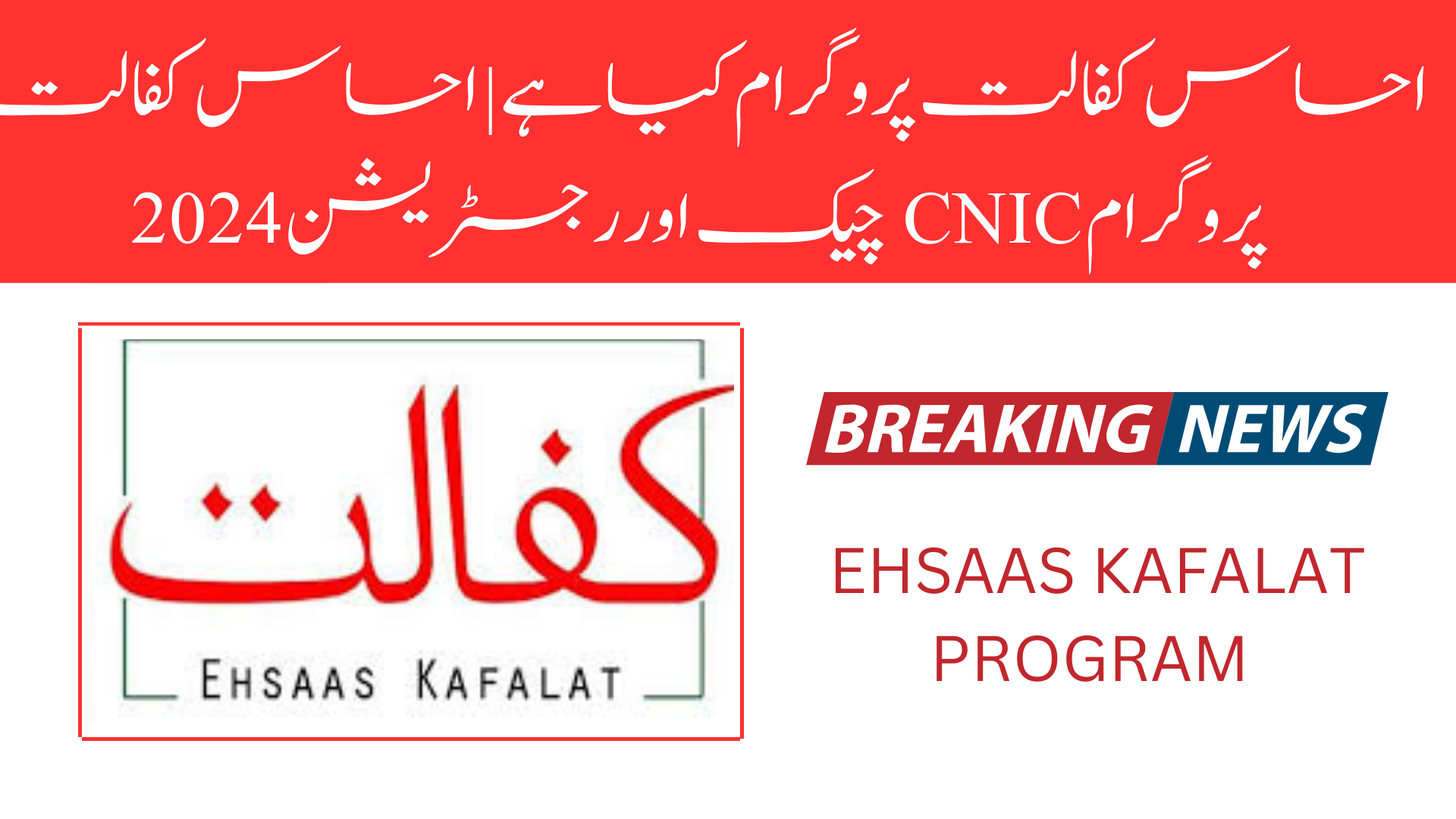 What is Ehsaas Kafalat Program