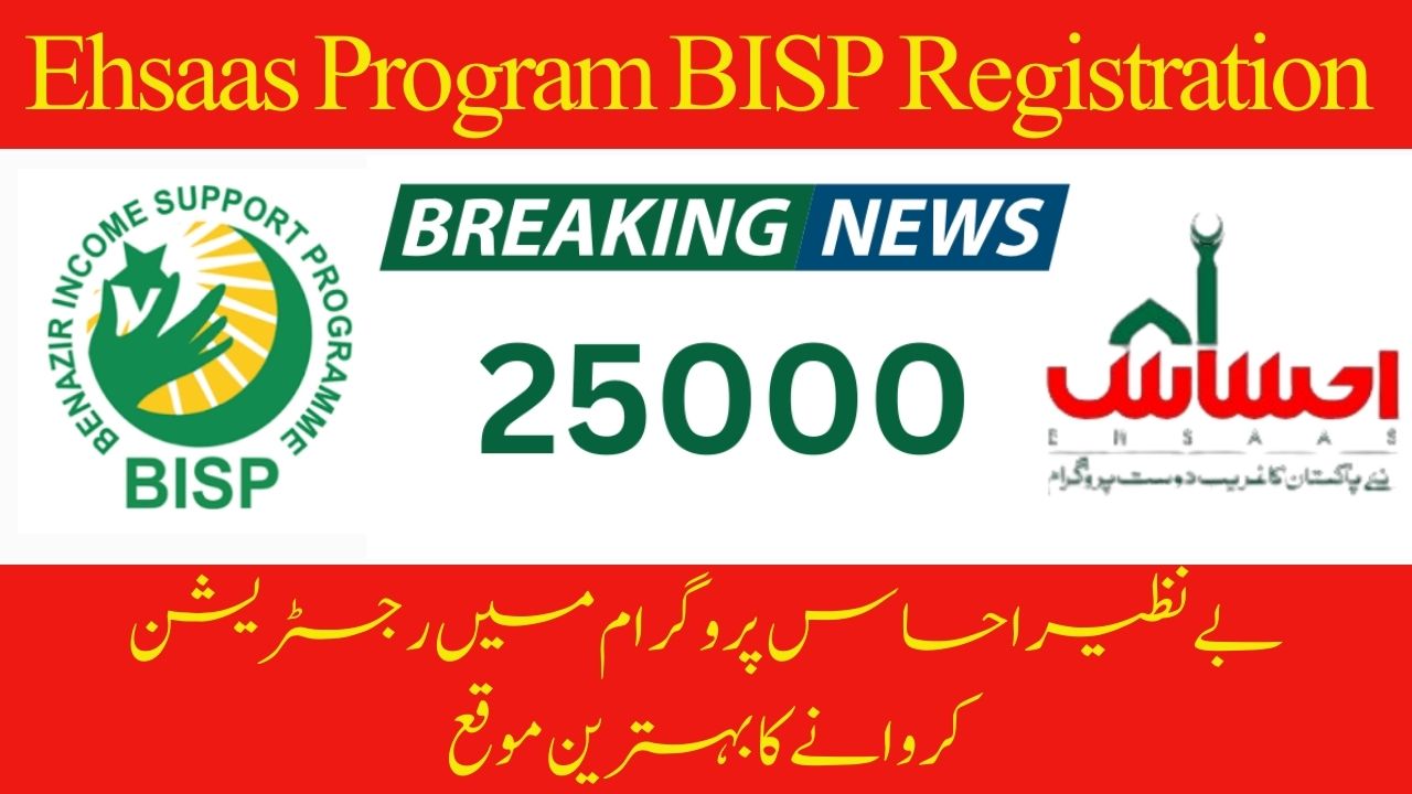 8171 Ehsaas Program 25000