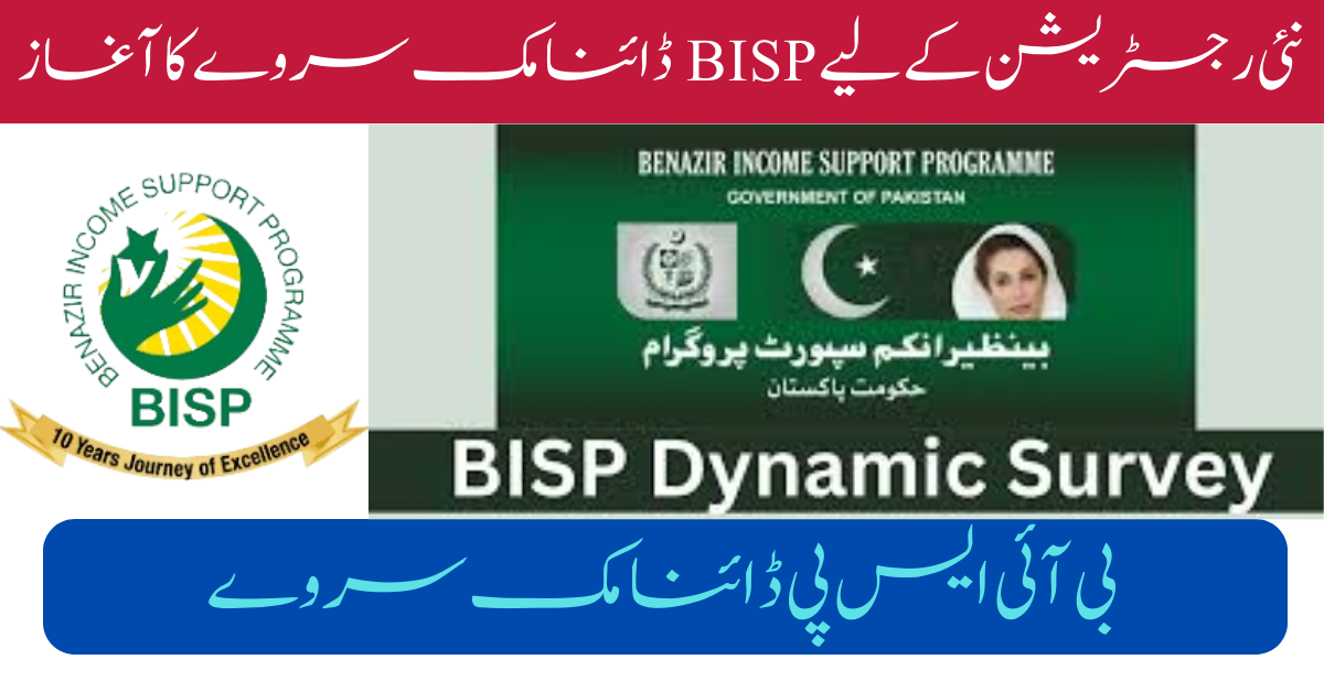 BISP Dynamic Survey Start 