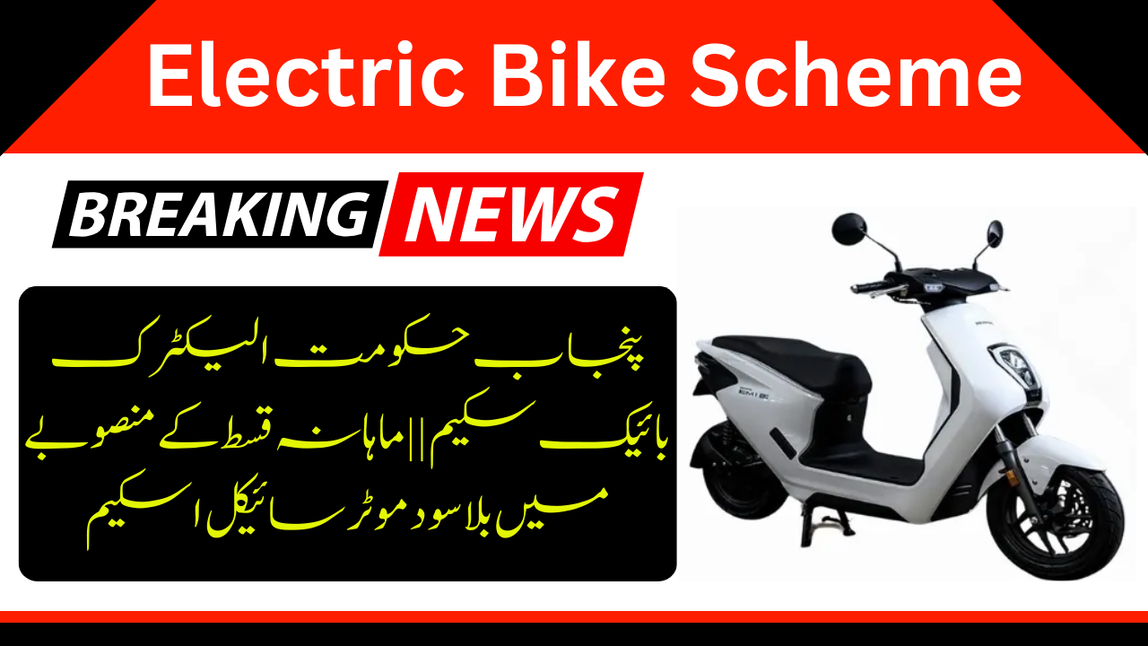 Electric Bike Scheme