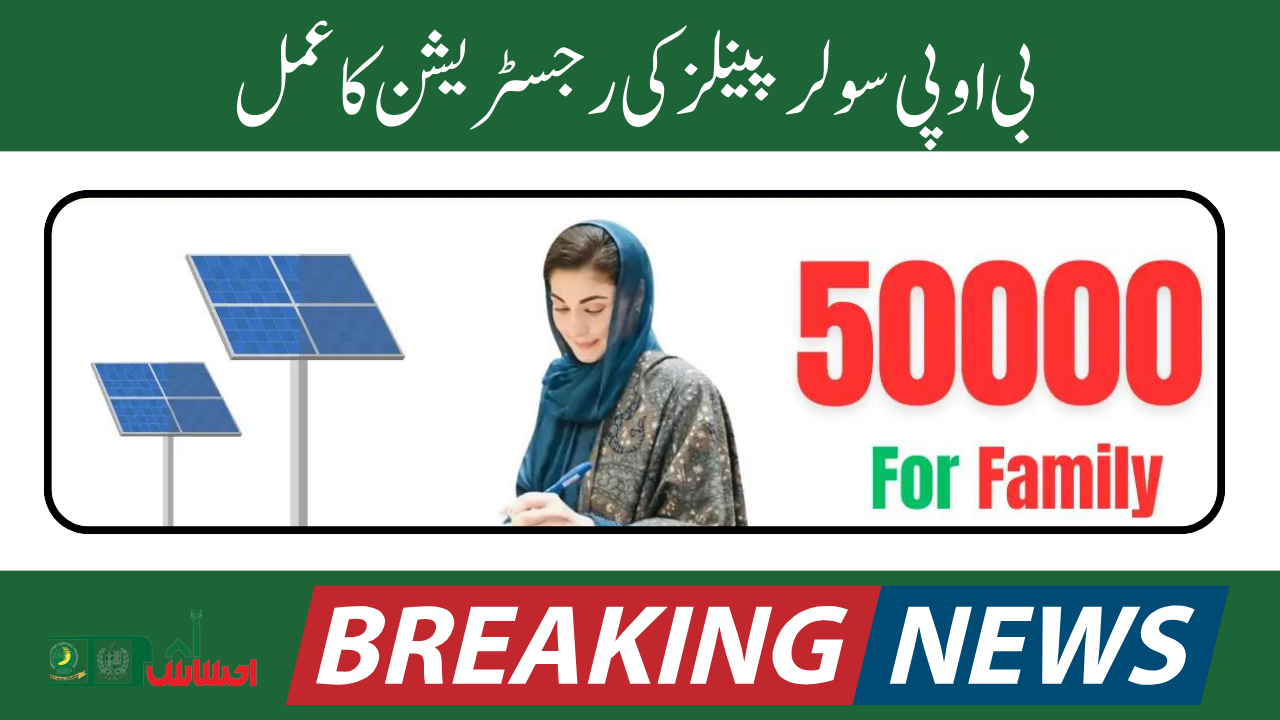 Empowering Punjab: BOP Solar Panels Registration Process