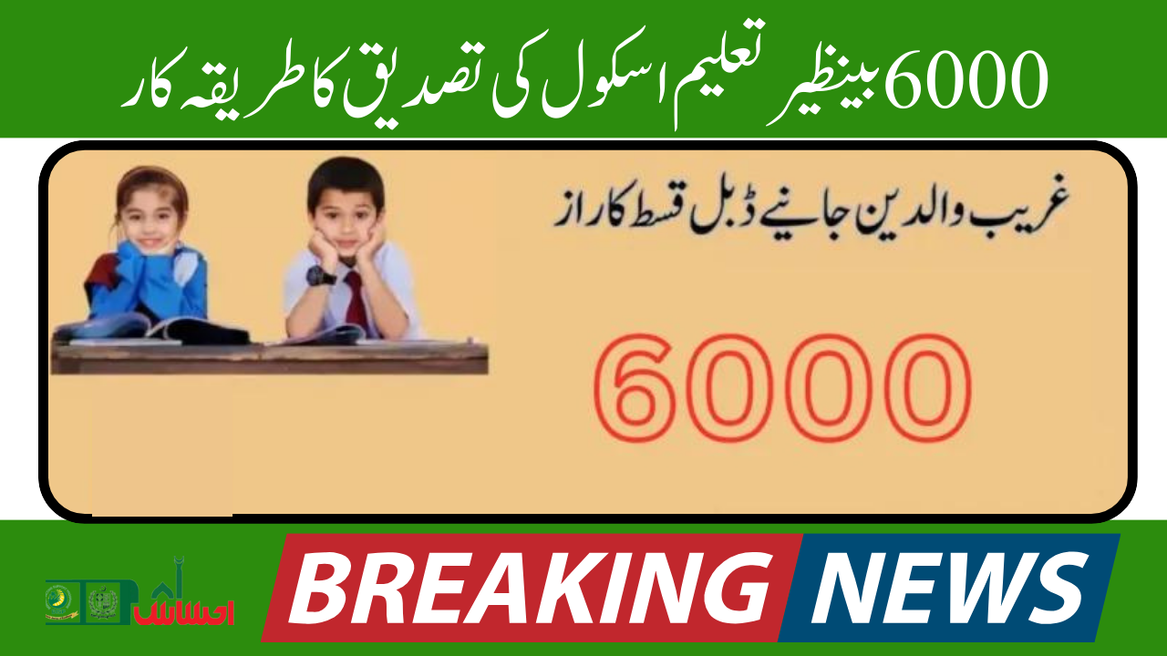 6000 Benazir Taleemi School Verification