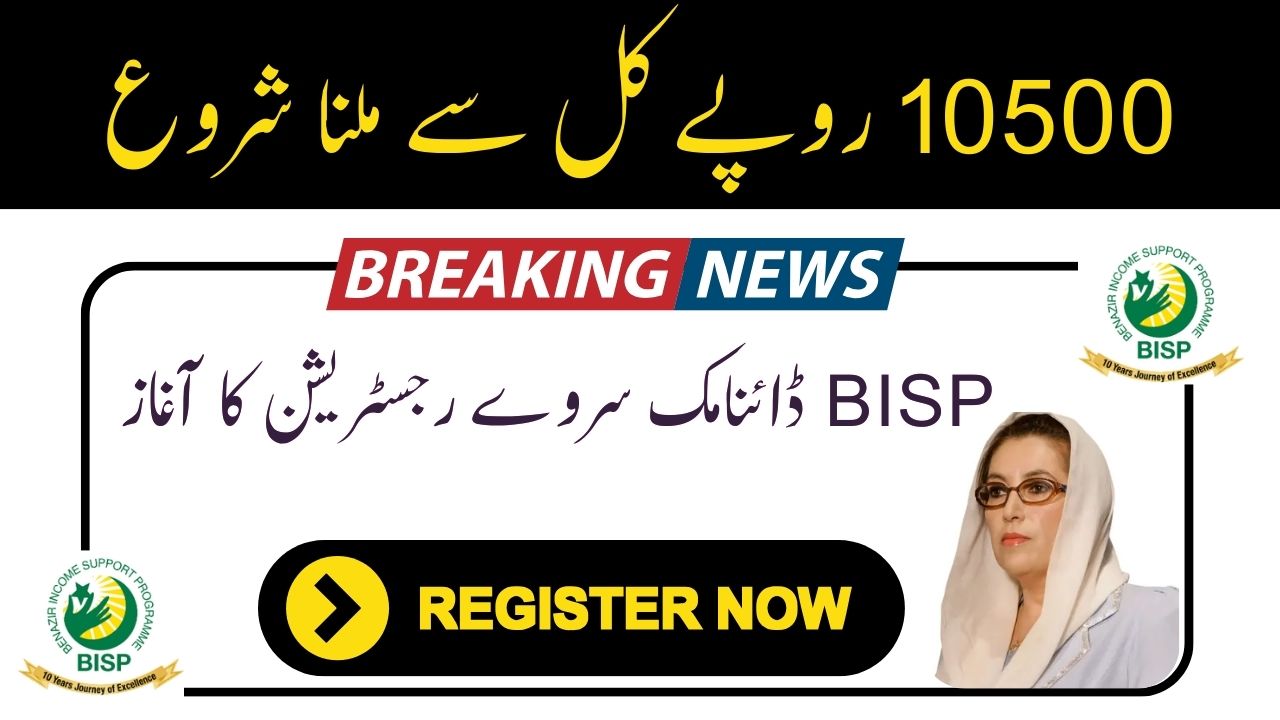 BISP Dynamic Survey