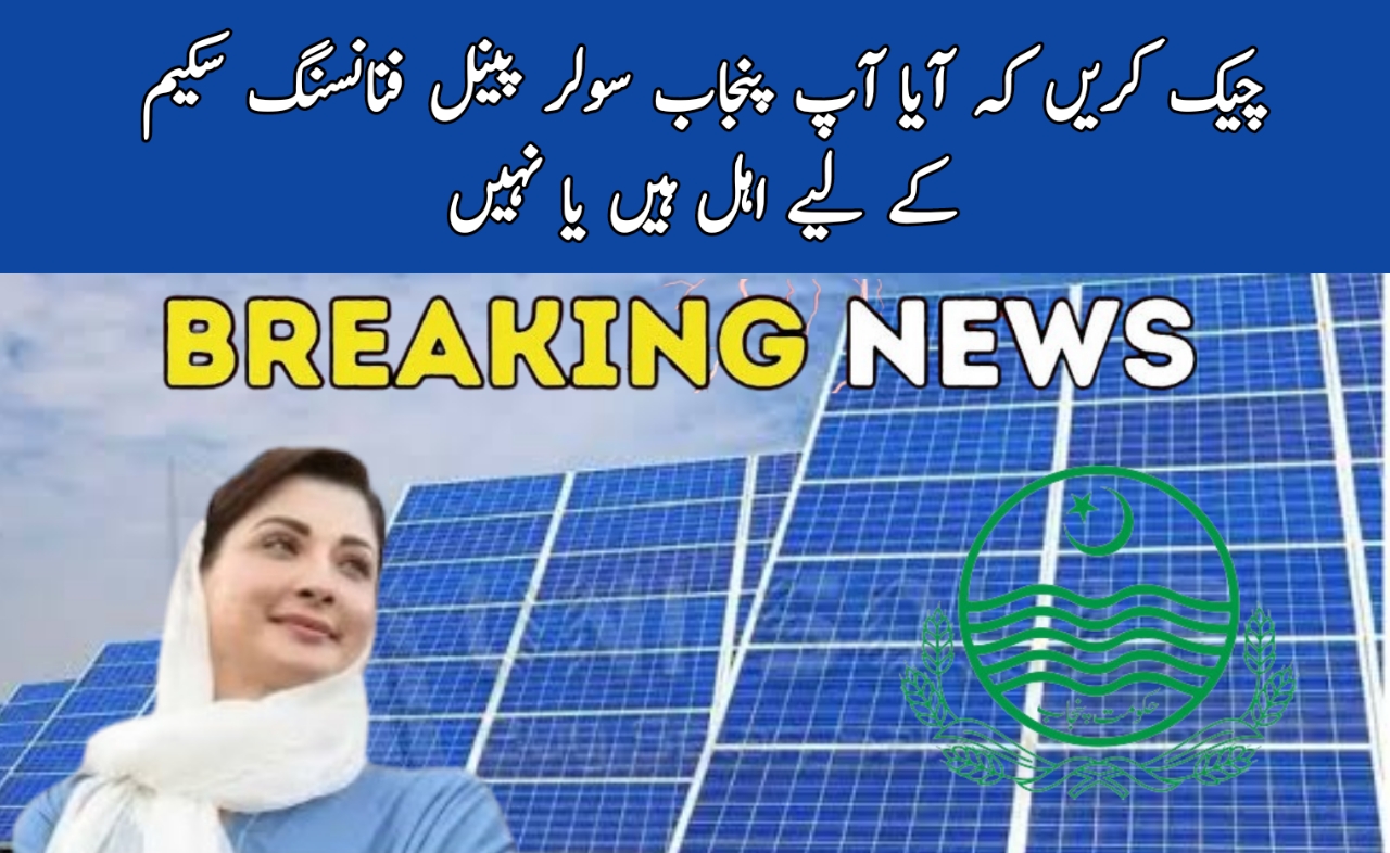 Punjab Solar Panel Financing Scheme