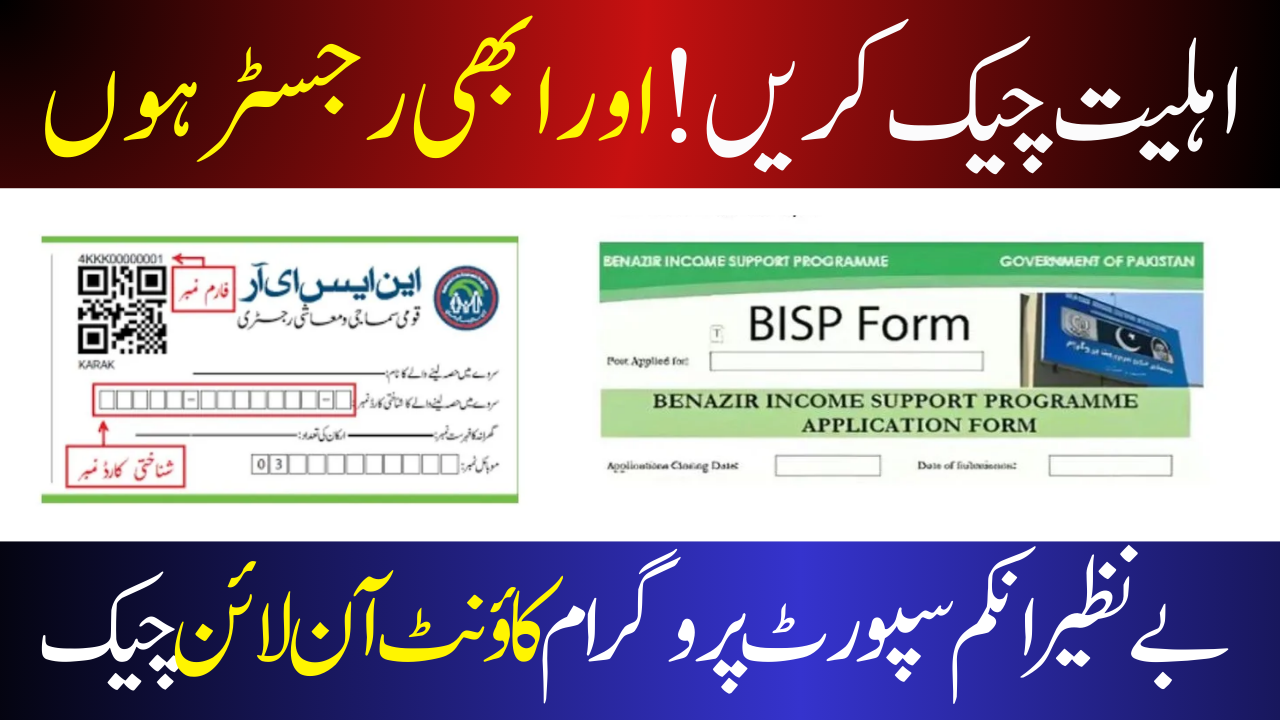 BISP Challenges 